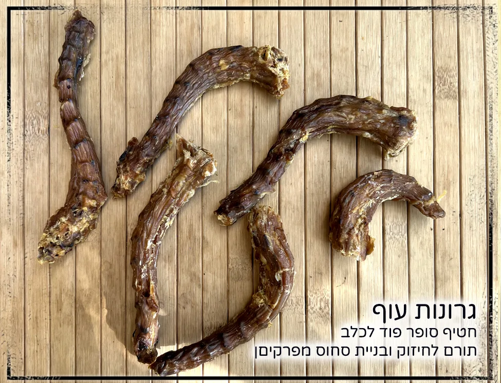 גרונות עוף